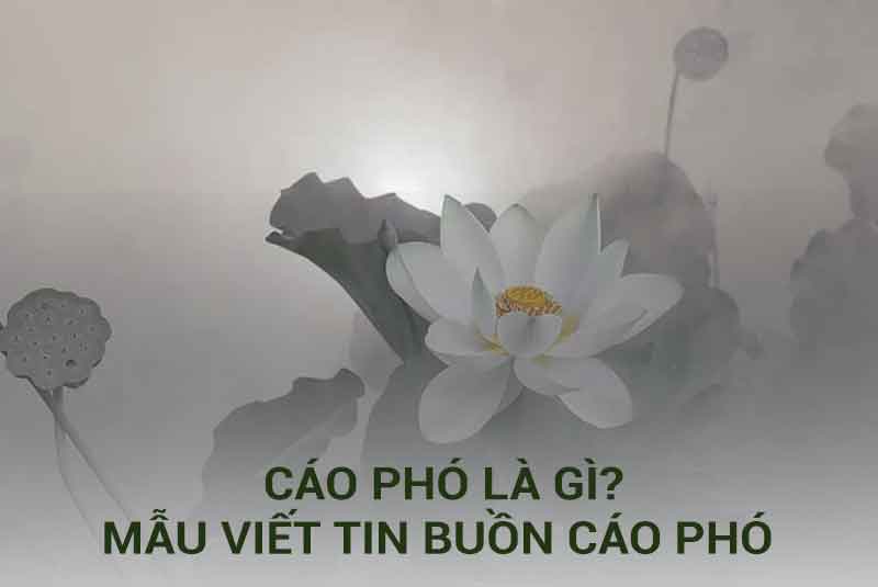 Cáo phó là gì? Mẫu viết tin buồn cáo phó đầy đủ thông tin