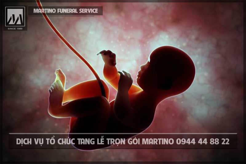 Đầu thai làm kiếp người Đầu thai làm kiếp người