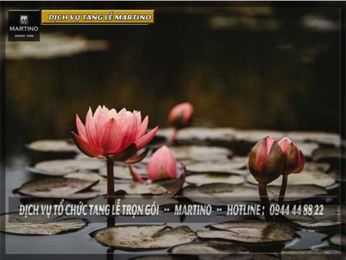 Hỏa táng nguyên xuong sự thật có như lời quảng cáo?