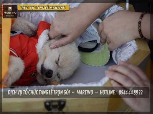 DỊCH VỤ HỎA TÁNG CHÓ CƯNG TẠI TPHCM