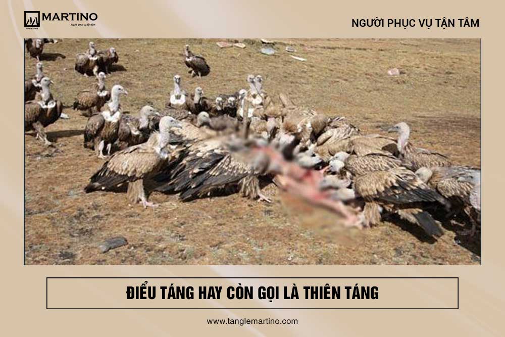 Mai táng là gì?