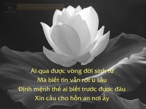 Các nghi lễ cần thiết dành cho người đã khuất