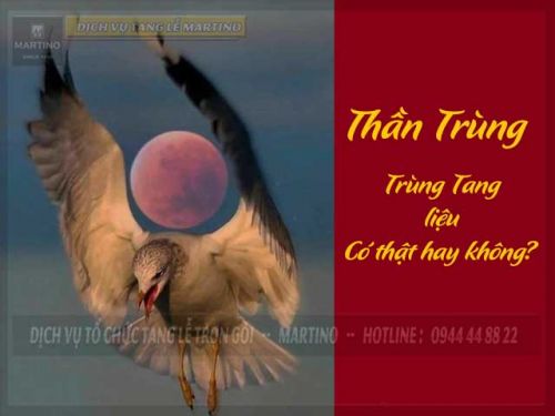 Thế nào là trùng tang? Trùng tang có thật hay không?