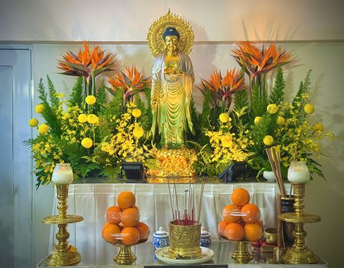 Hành Trình Phục Vụ Sài Gòn - Nha Trang